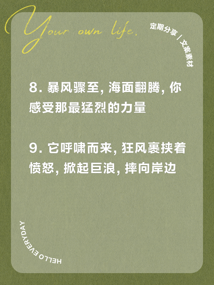 2025世俱杯直播-热血绽放！一场体育赛事将掀起狂风巨浪的简单介绍